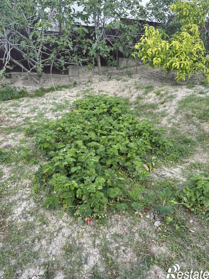 Земельный участок село Супсех