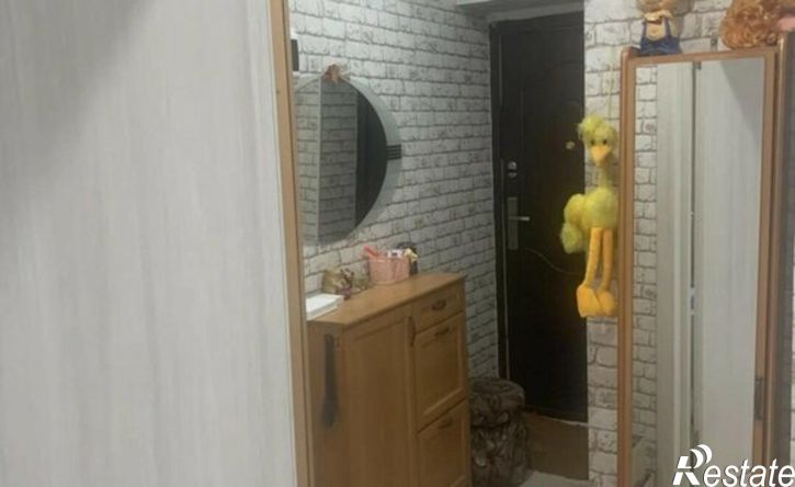 1-комн квартира пер Попова, 6,  д. 6