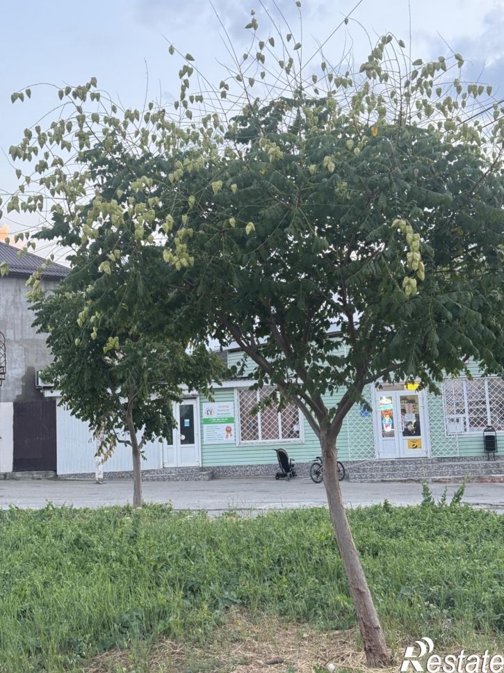 Коттедж/дом Анапская улица