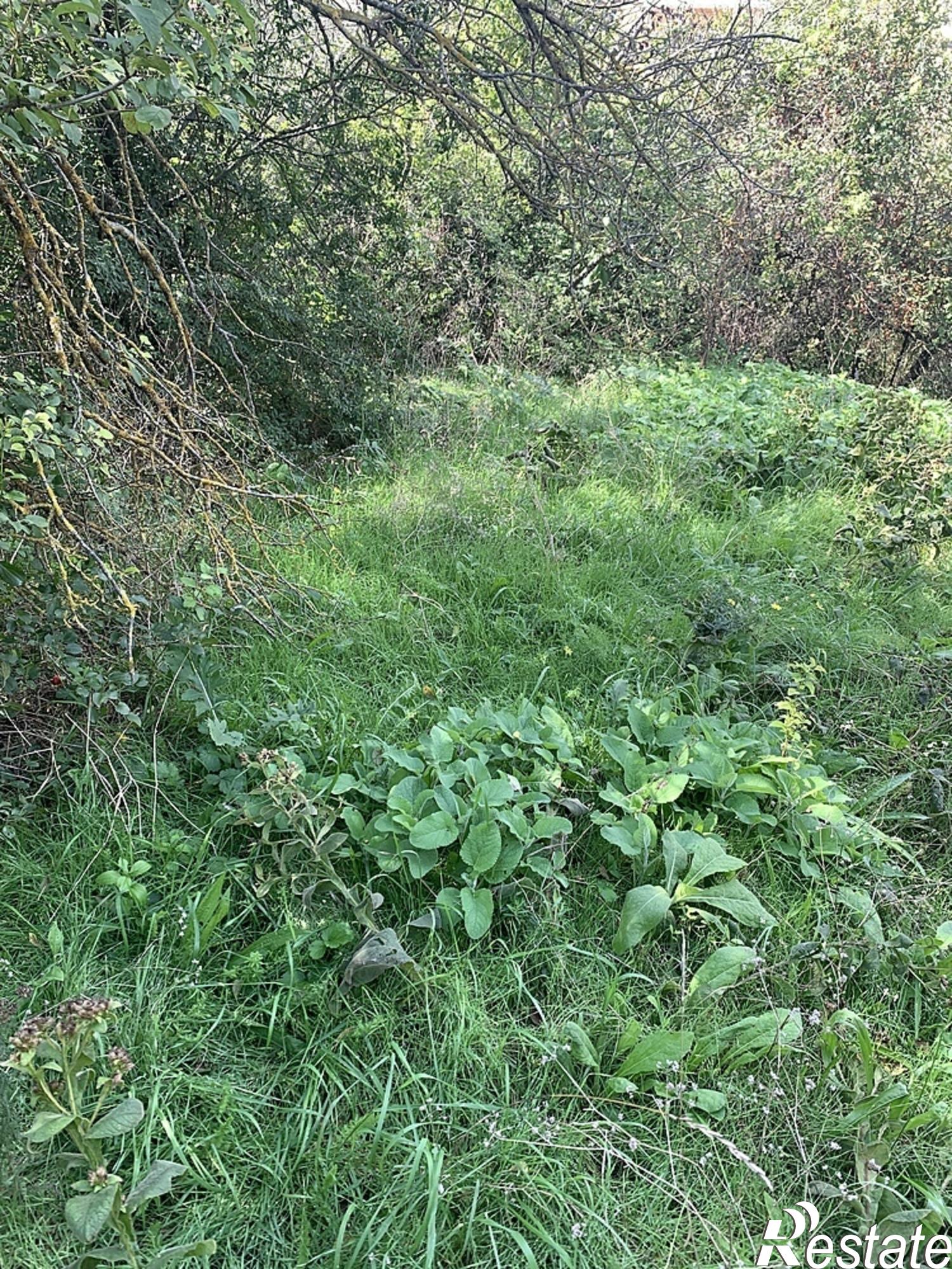 Купить землю, земельный участок за 6 500 000 рублей на село Варваровка