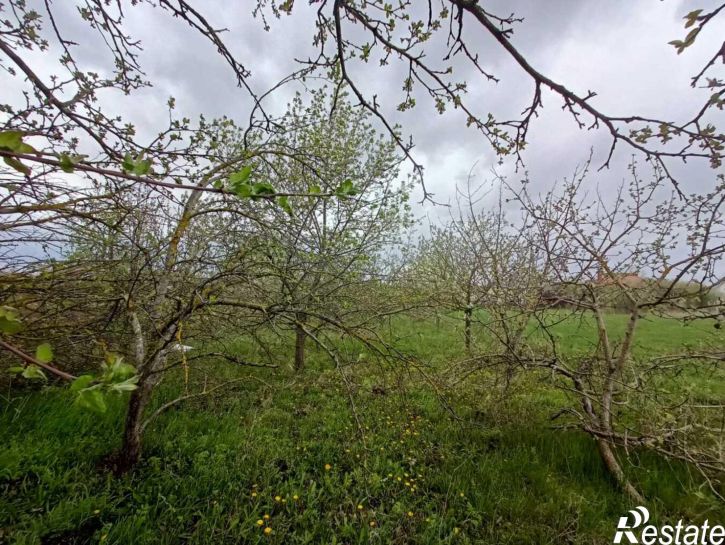 Земельный участок станица Гостагаевская