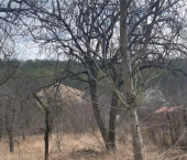 земля 11 сот село Абрау-Дюрсо
